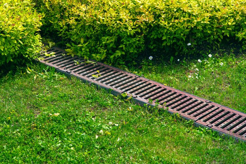 Drain Clearing