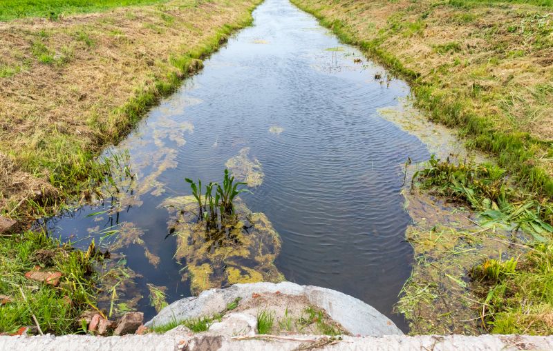 Drain Clearing