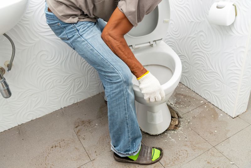 Toilet Replacement